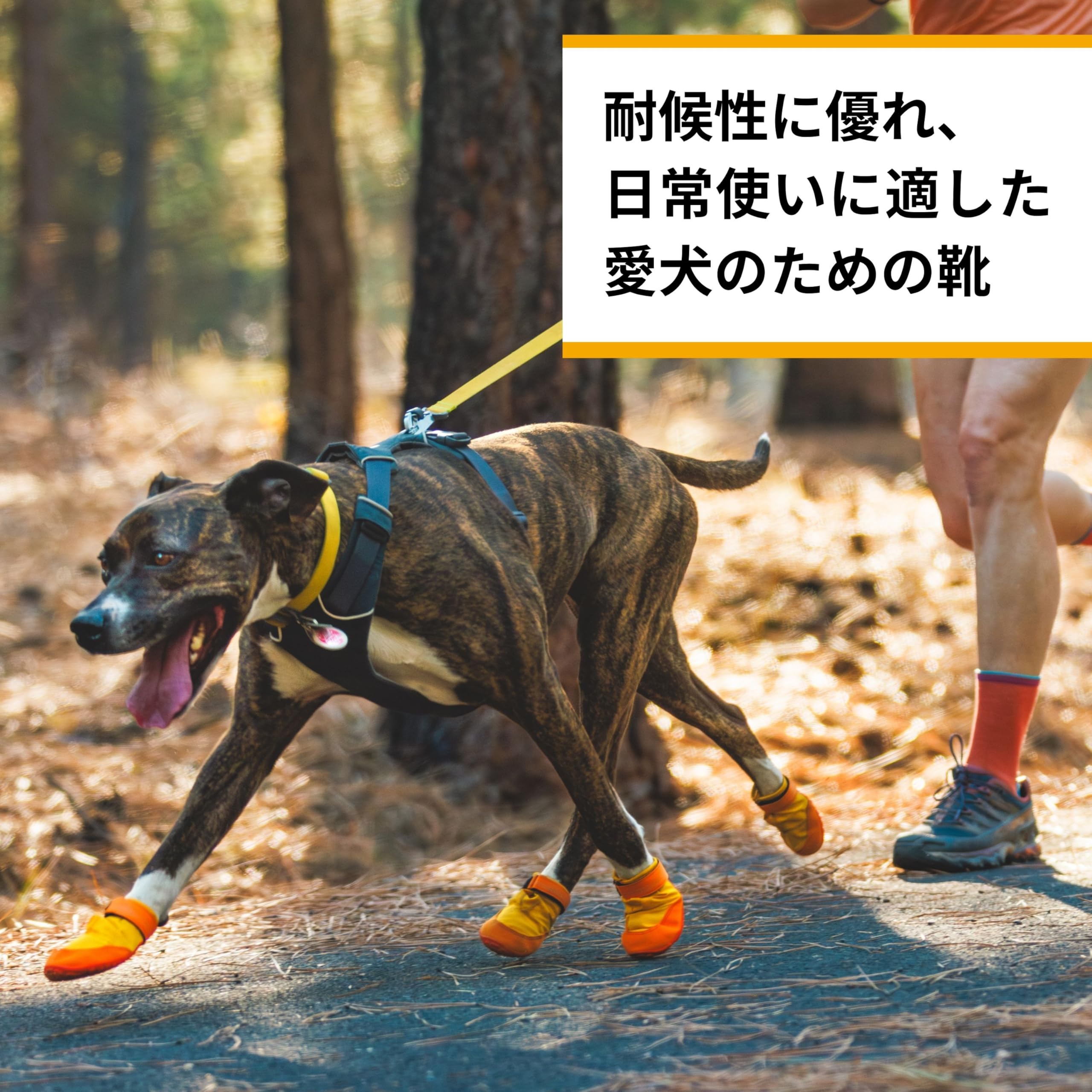 Amazon | RUFFWEAR(ラフウェア) サミットトレックスドッグシューズ